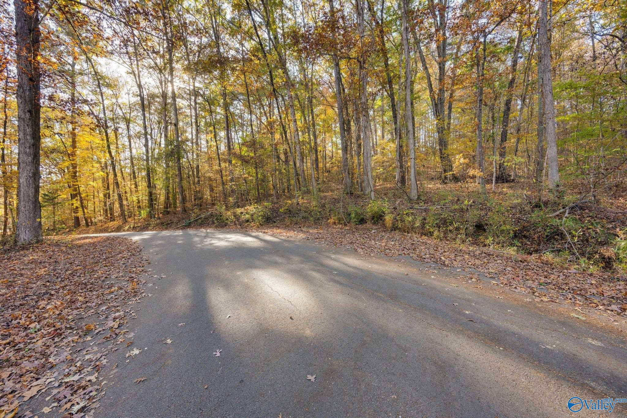 3817 SW Fall Bluff Drive SW