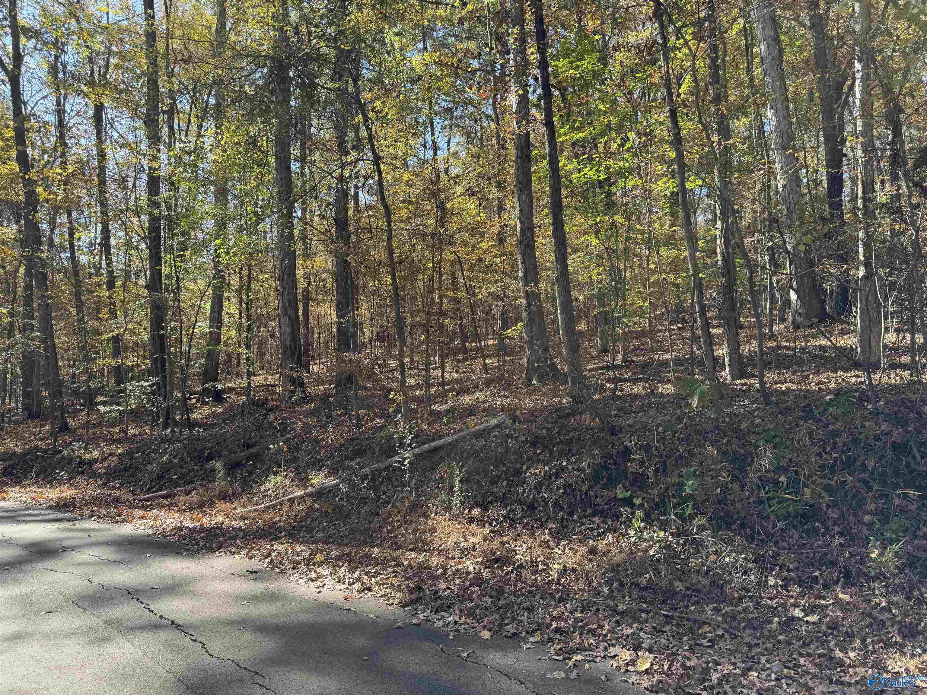 3817 SW Fall Bluff Drive SW