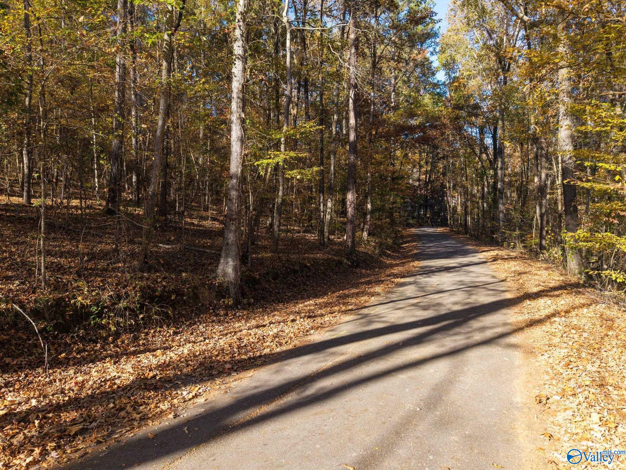 3817 SW Fall Bluff Drive SW