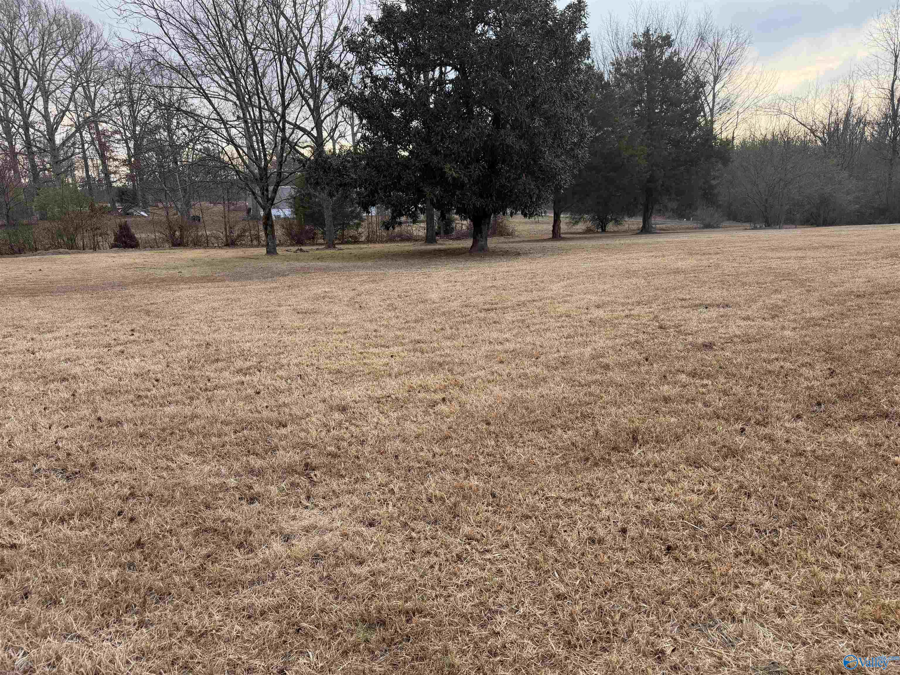 515 County Road 296