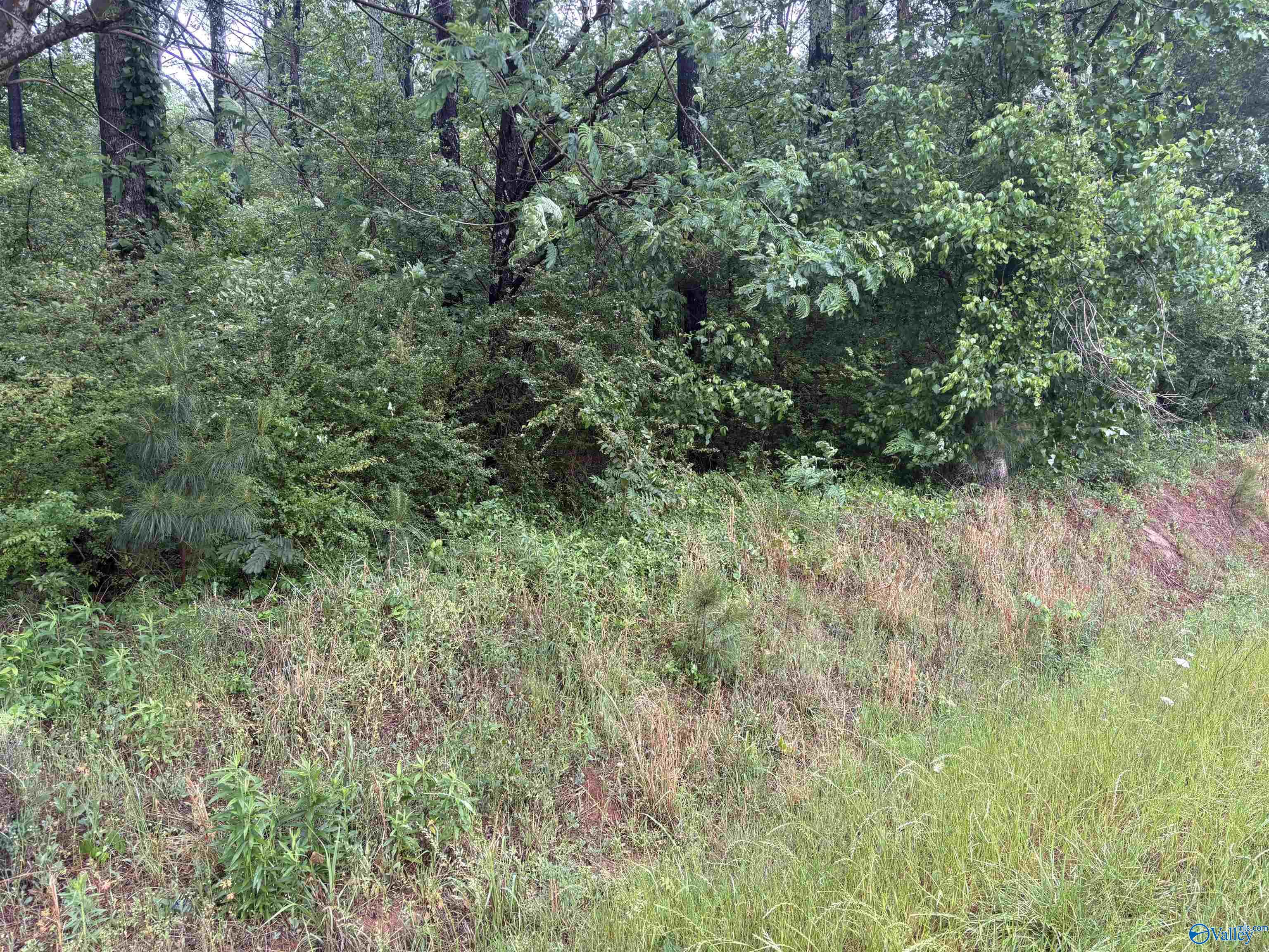1.84ac Wilhite Road