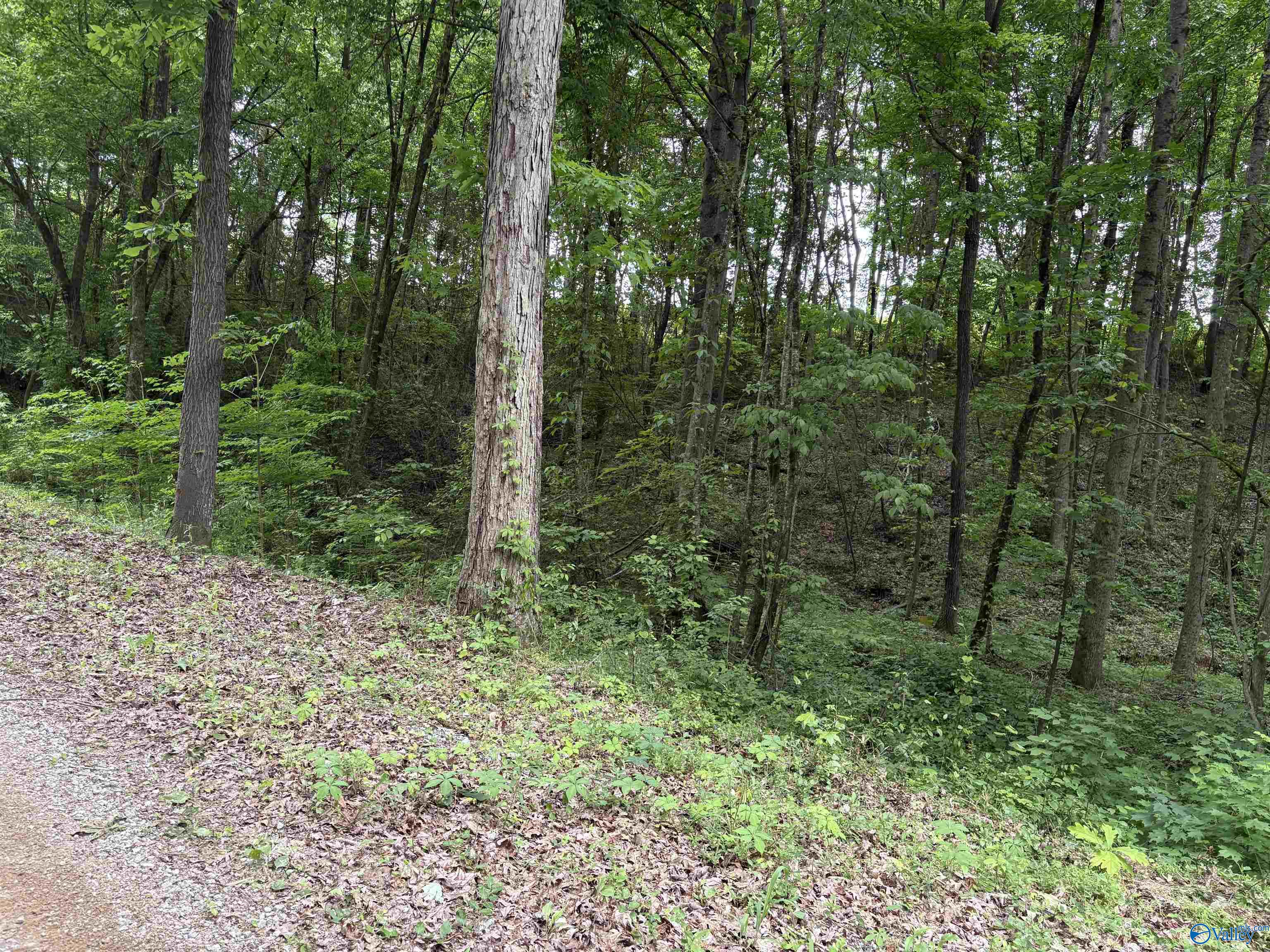 1.84ac Wilhite Road