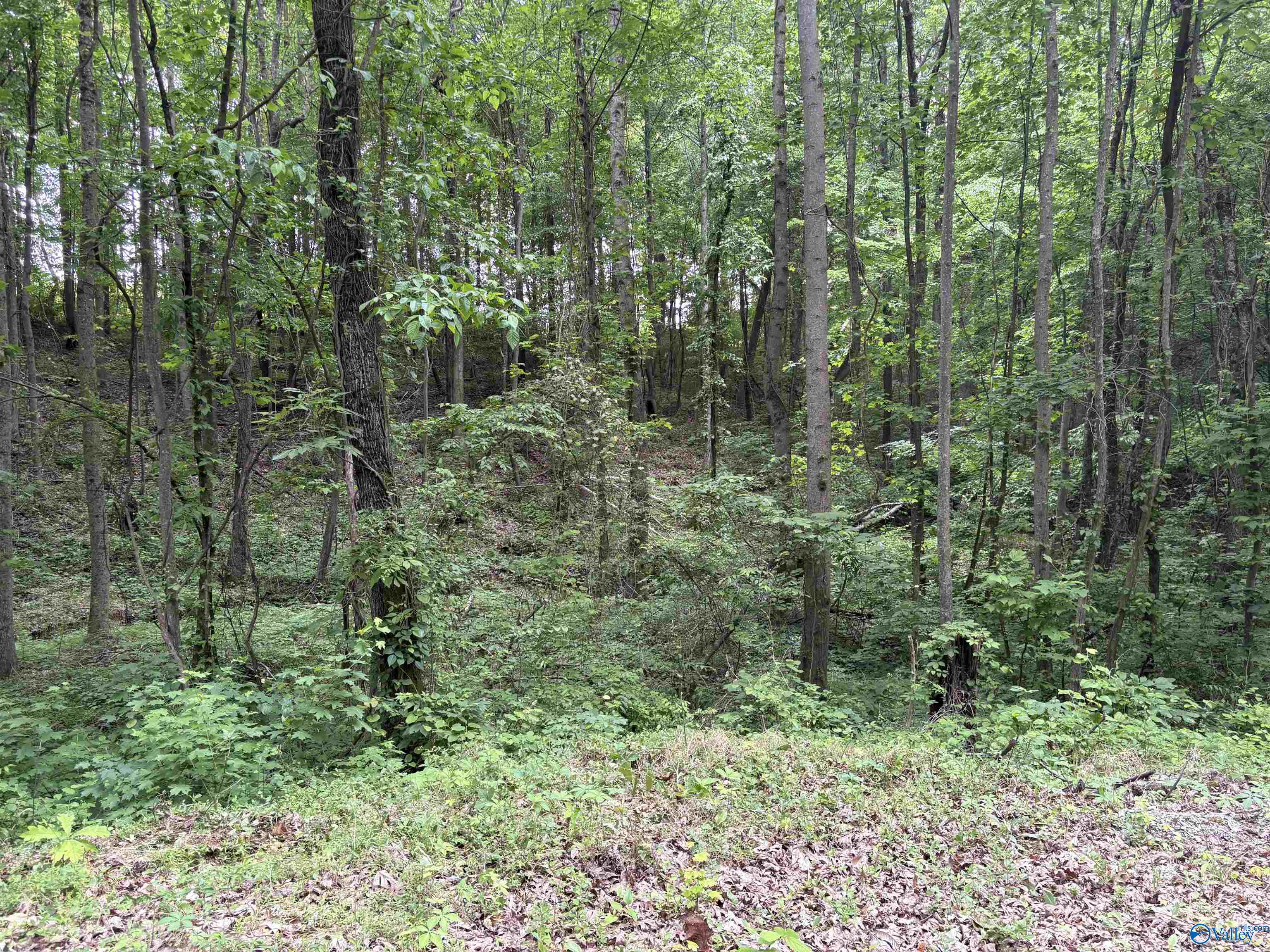 1.84ac Wilhite Road