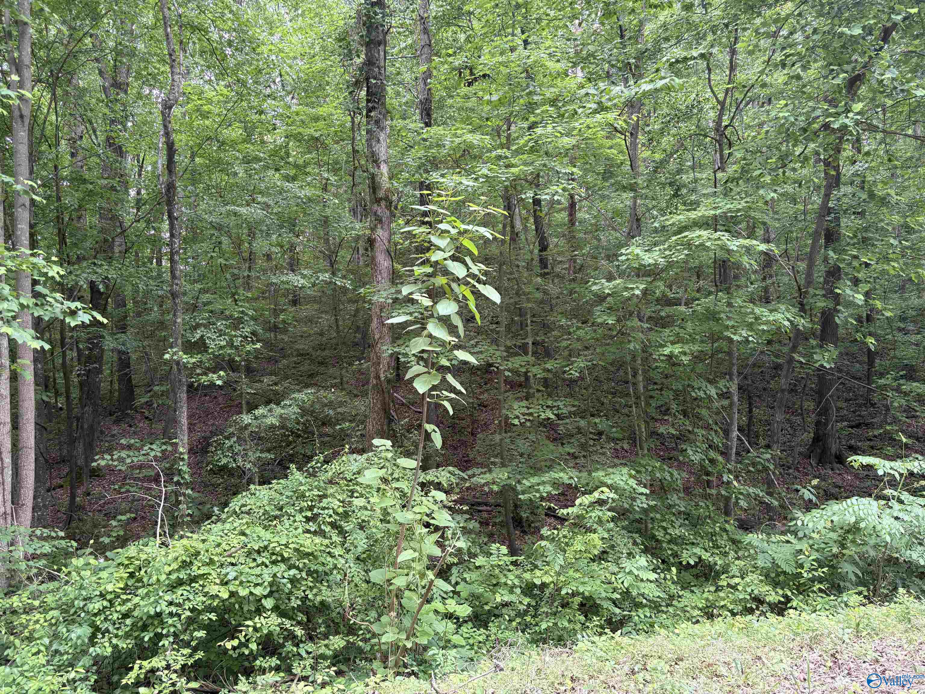 1.84ac Wilhite Road