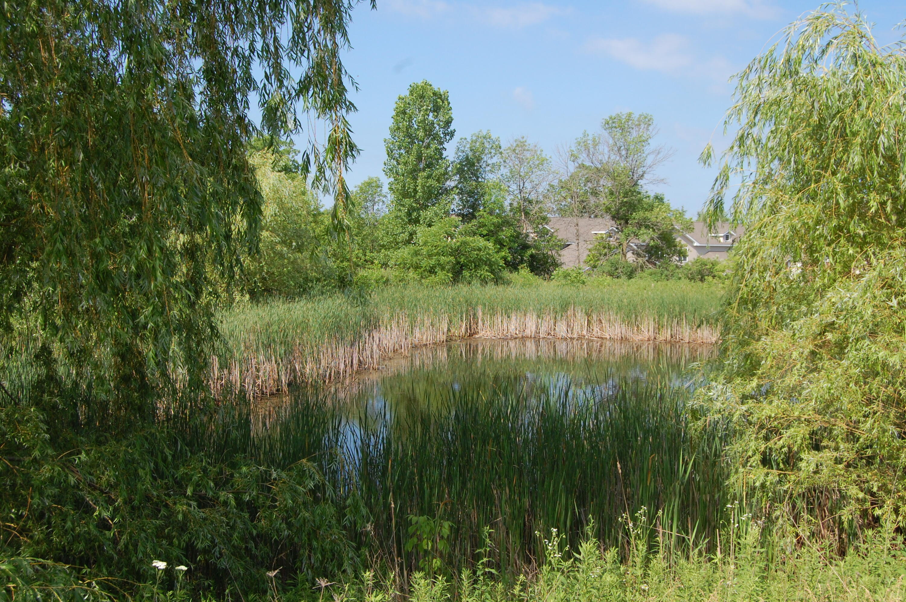 9399 S Cobblestone Way