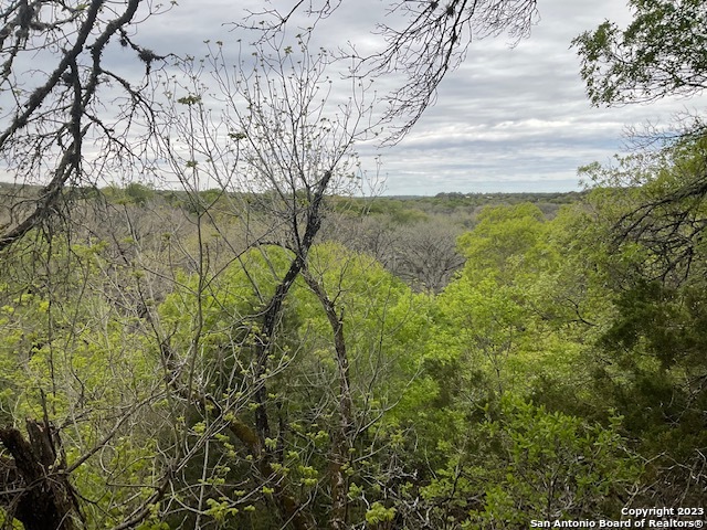 1348 Blue Bonnet Hill