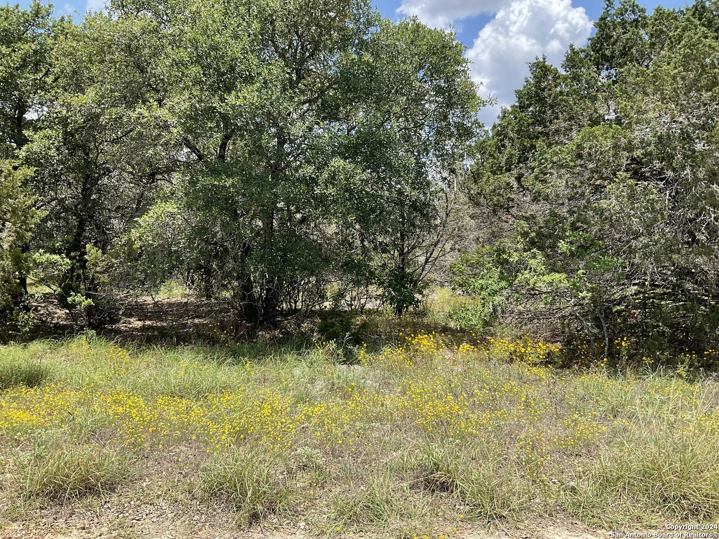 1348 Blue Bonnet Hill