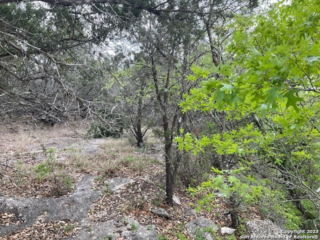 1348 Blue Bonnet Hill