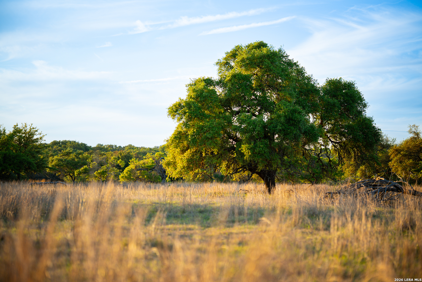 2873 Ranch Road 1888