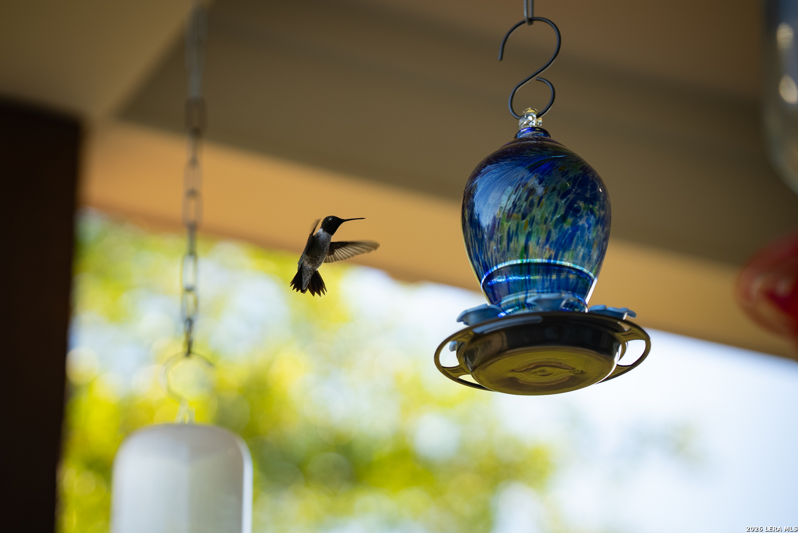 2873 Ranch Road 1888