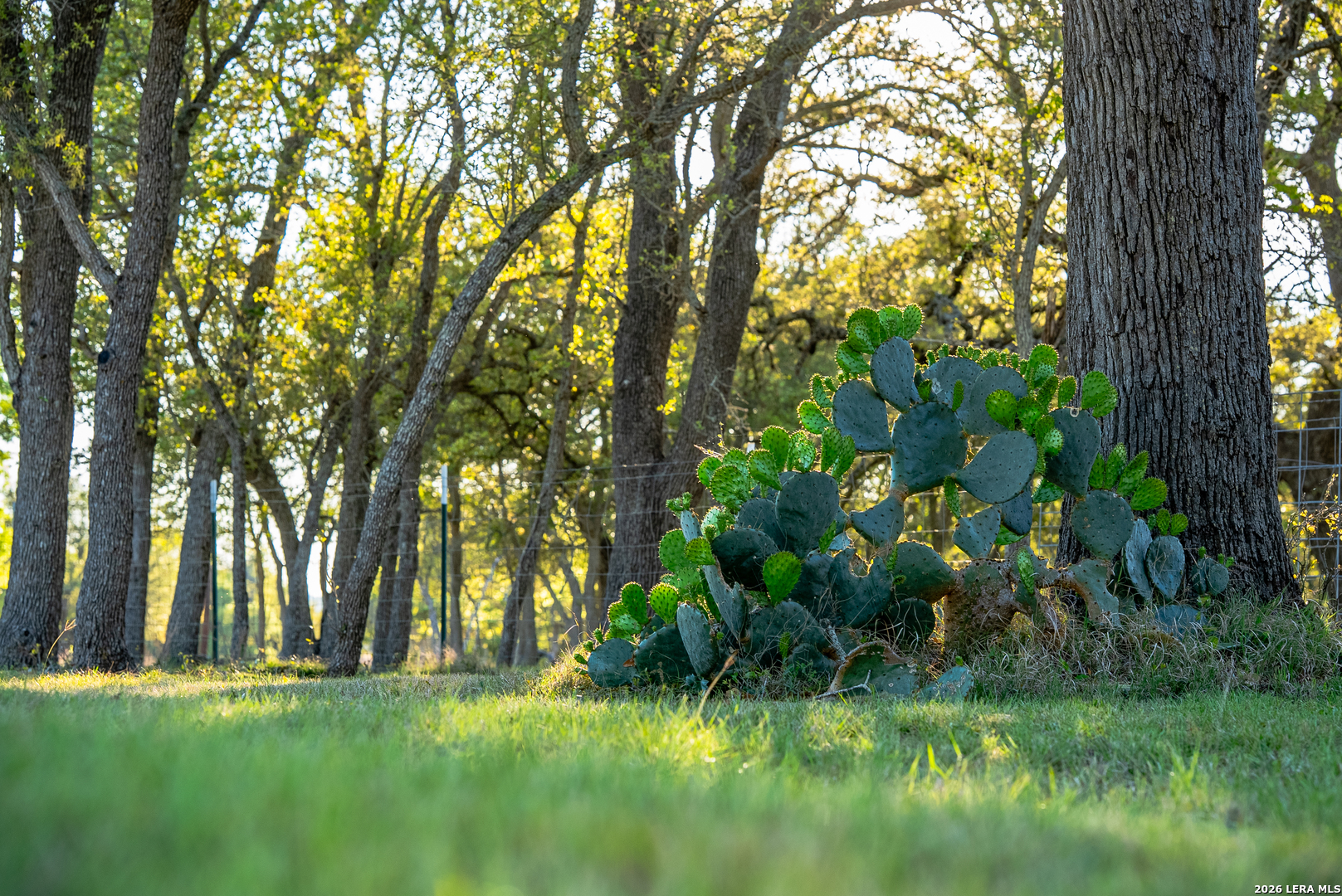 2873 Ranch Road 1888