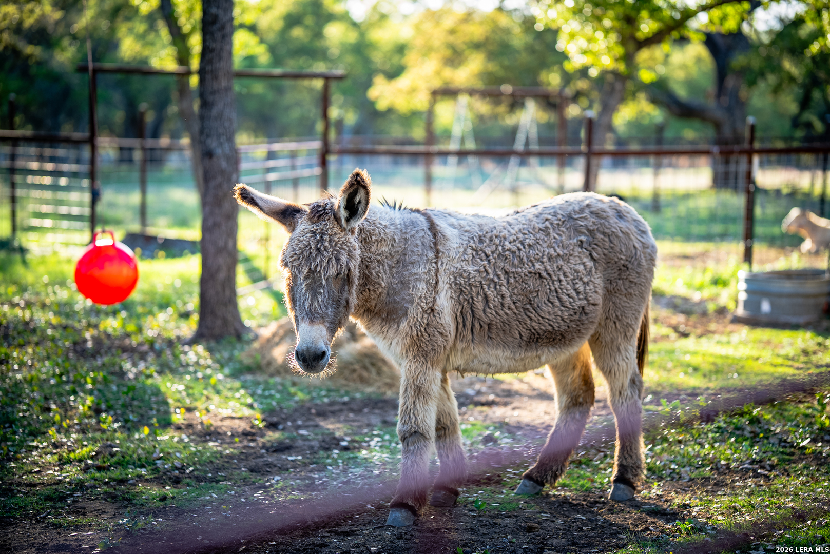 2873 Ranch Road 1888