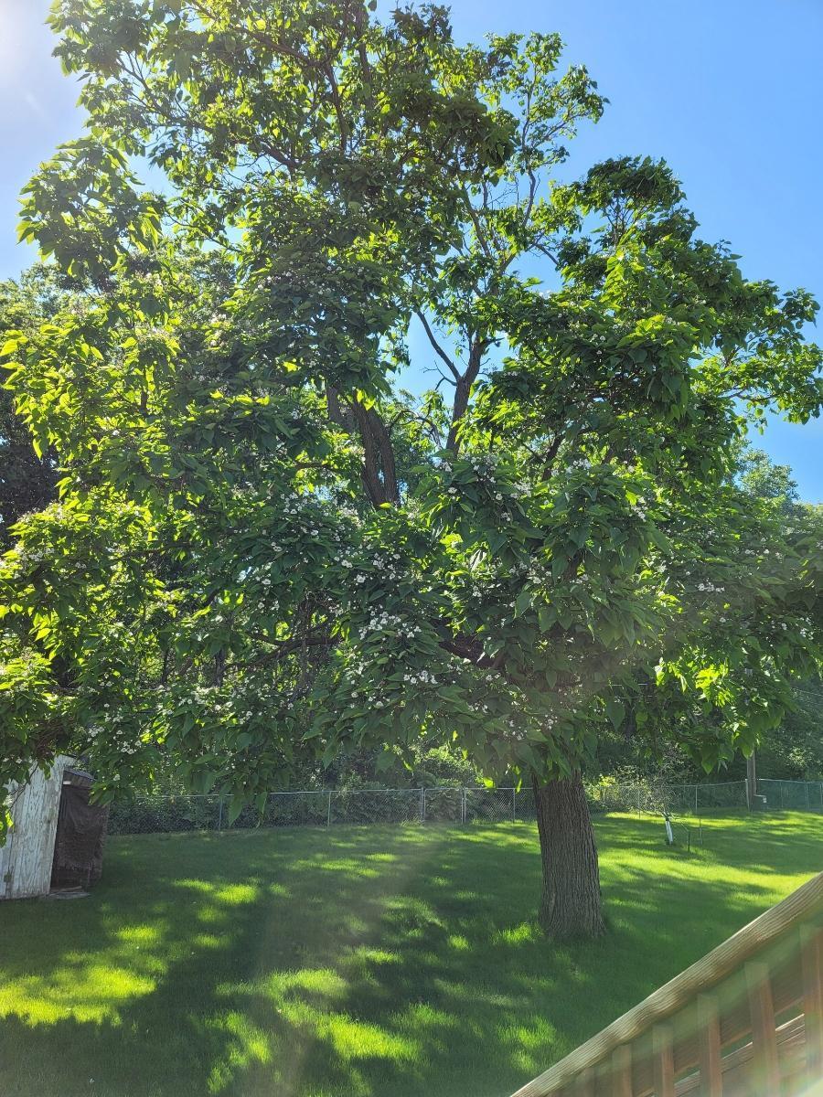 13816 Thomas Avenue S