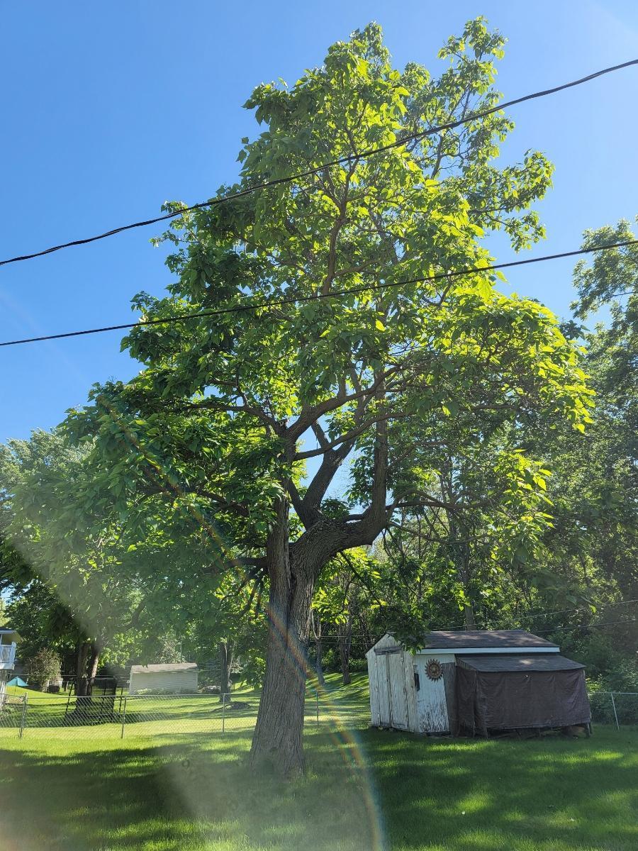 13816 Thomas Avenue S