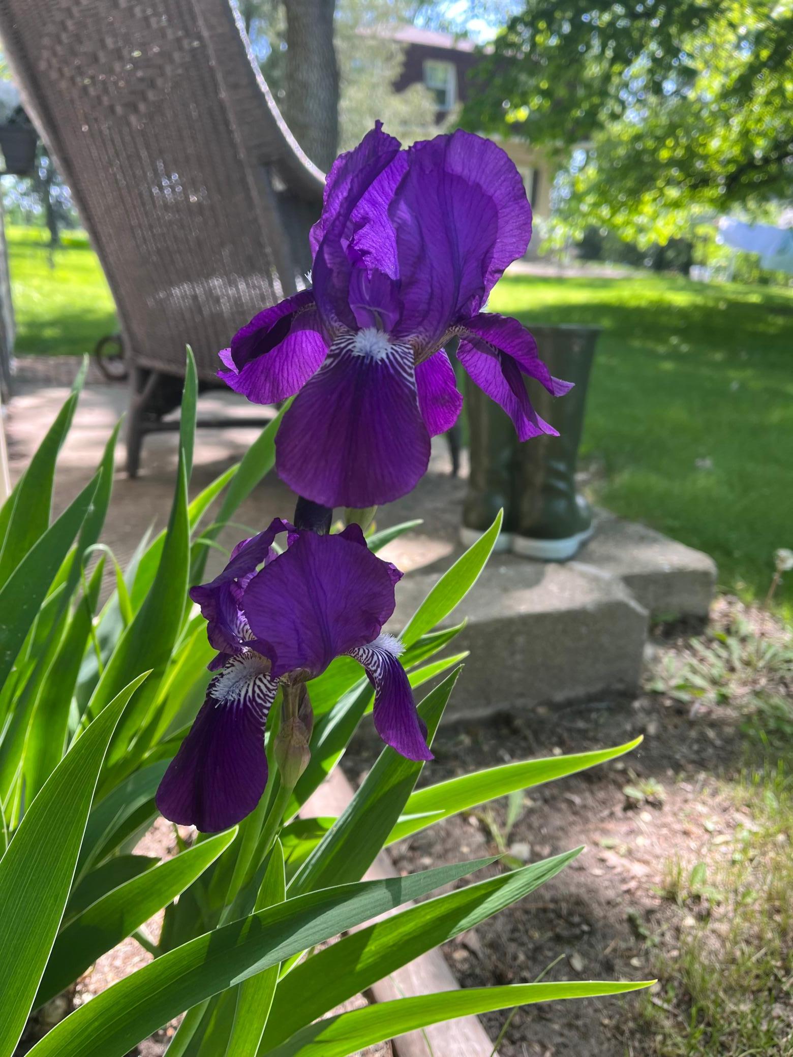 1011 Van Dyke Road NW Road NW