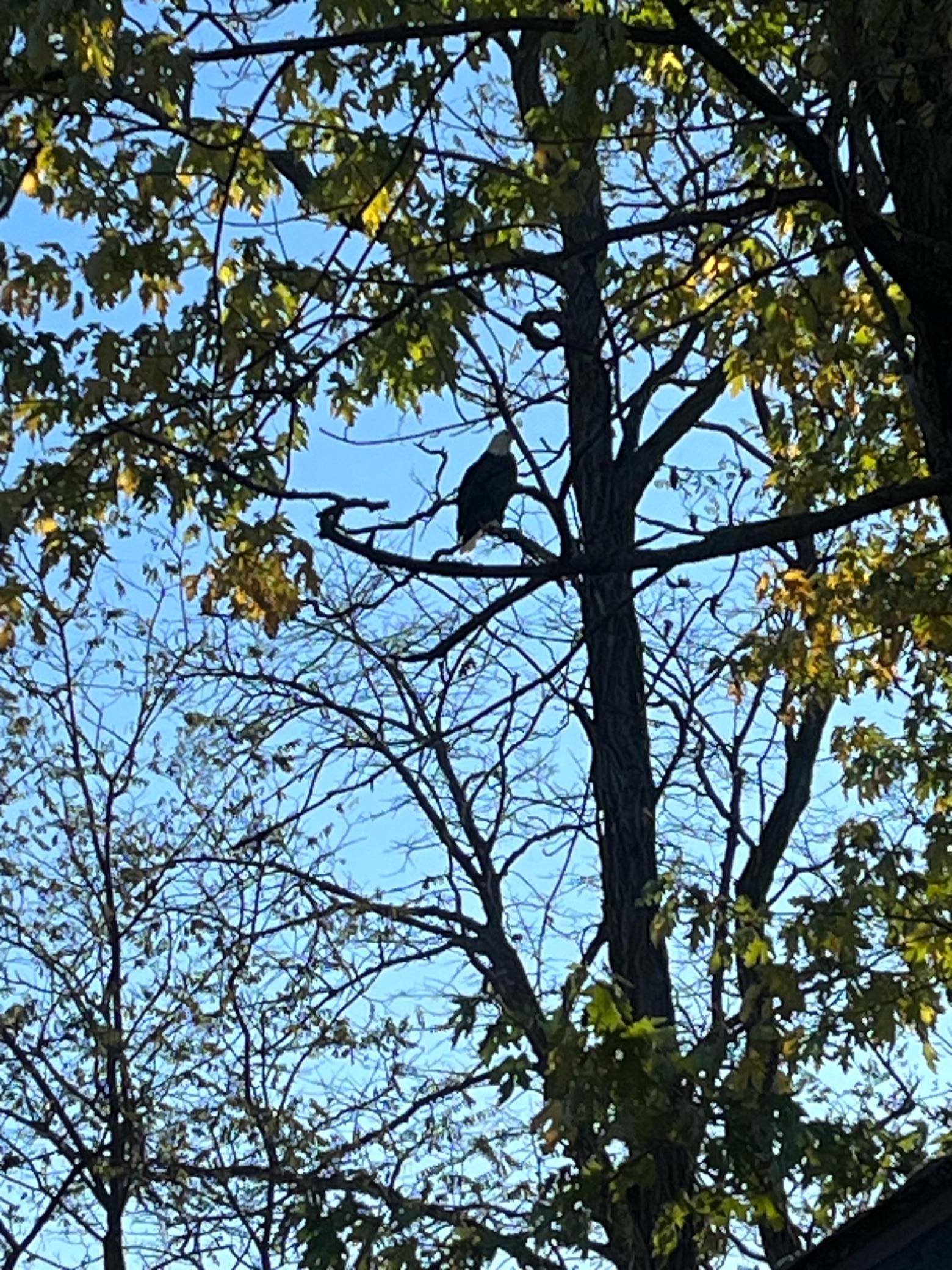 1011 Van Dyke Road NW Road NW