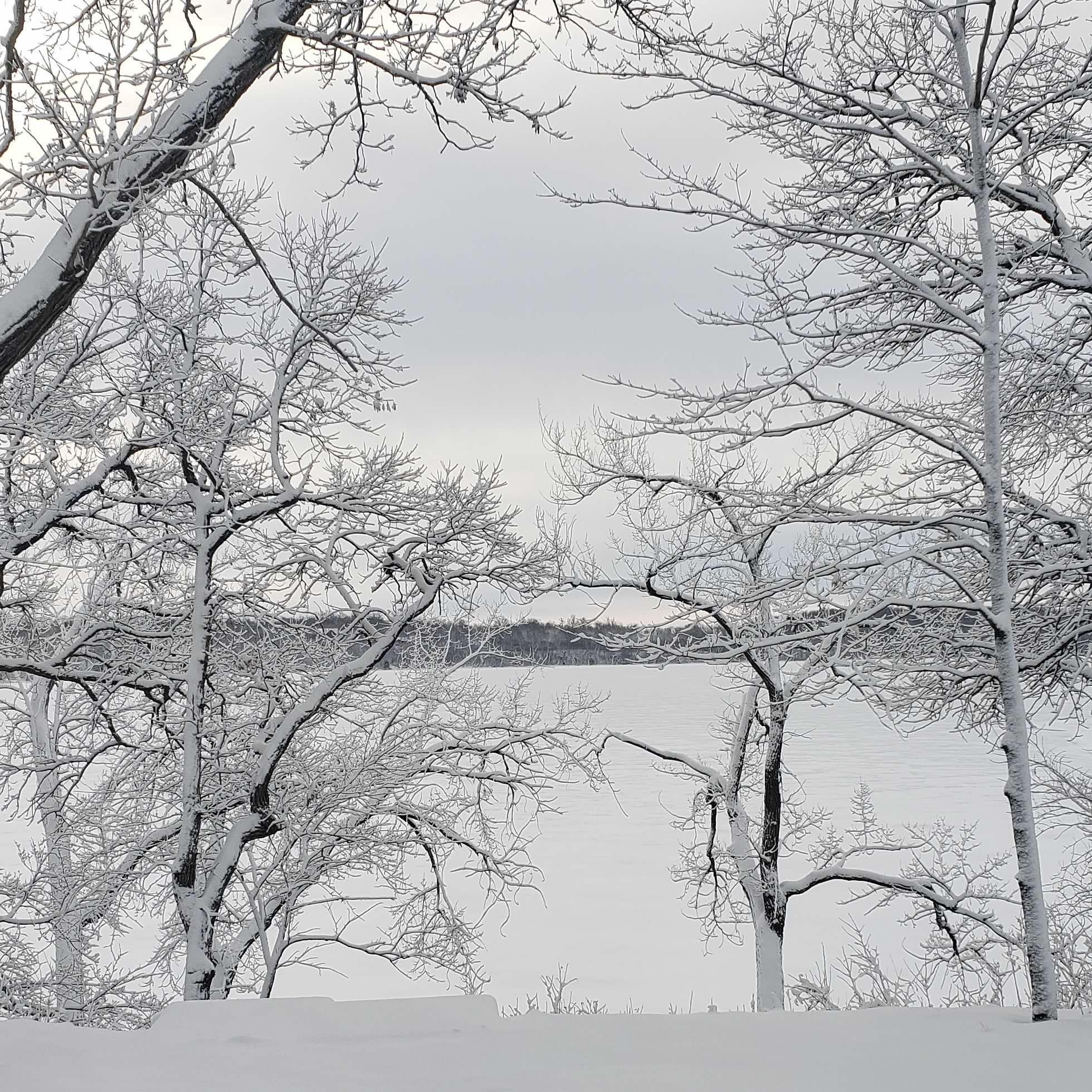 9104 Rachel Shores SW