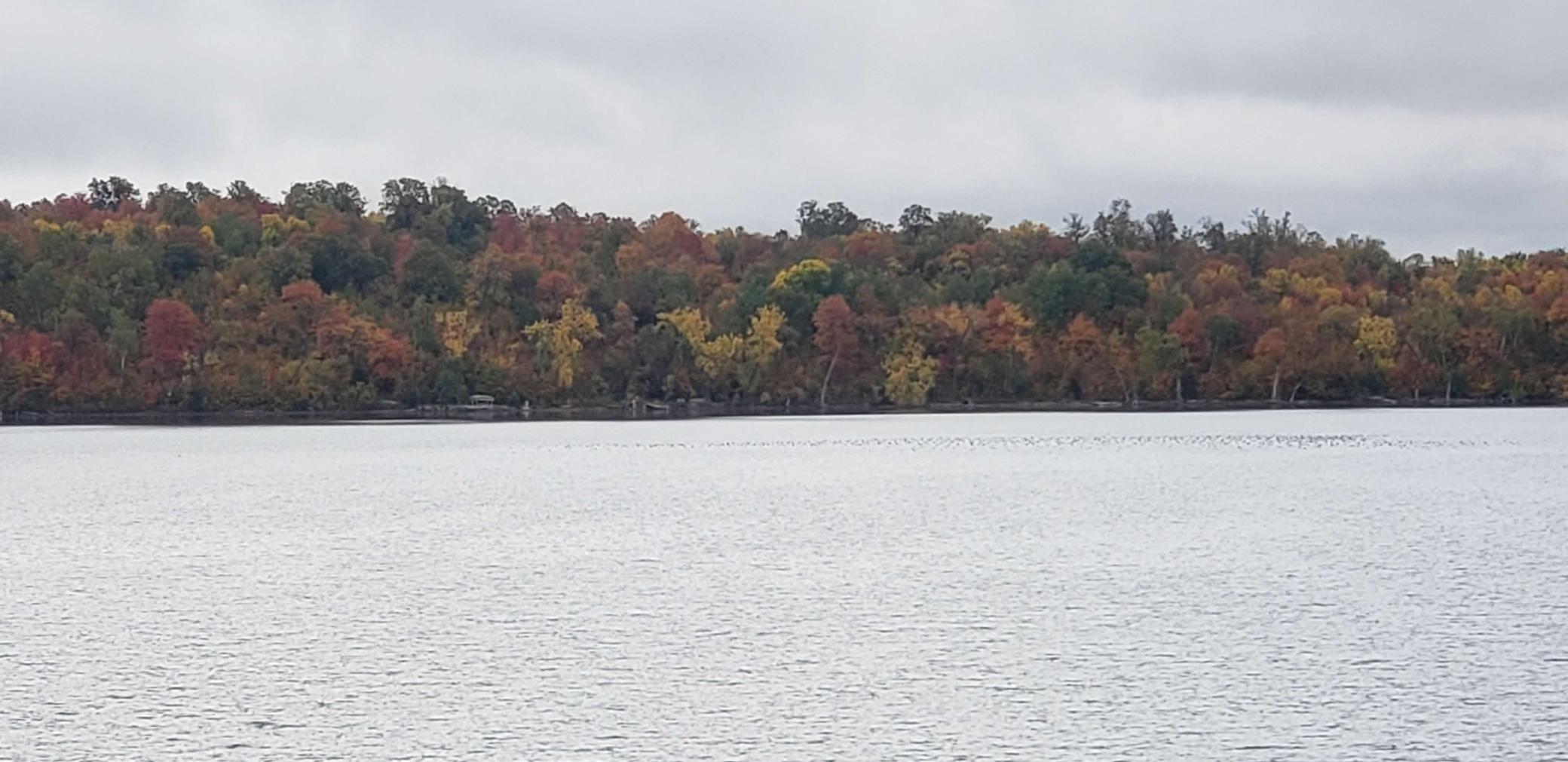 9104 Rachel Shores SW