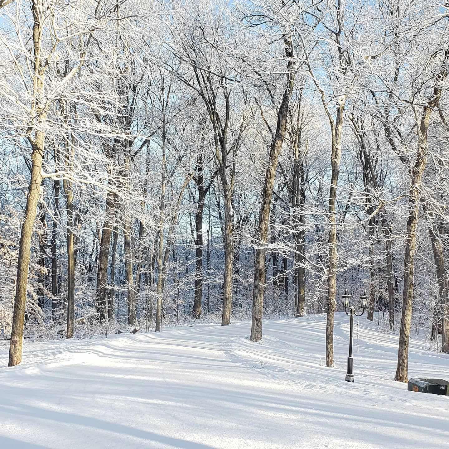 9104 Rachel Shores SW