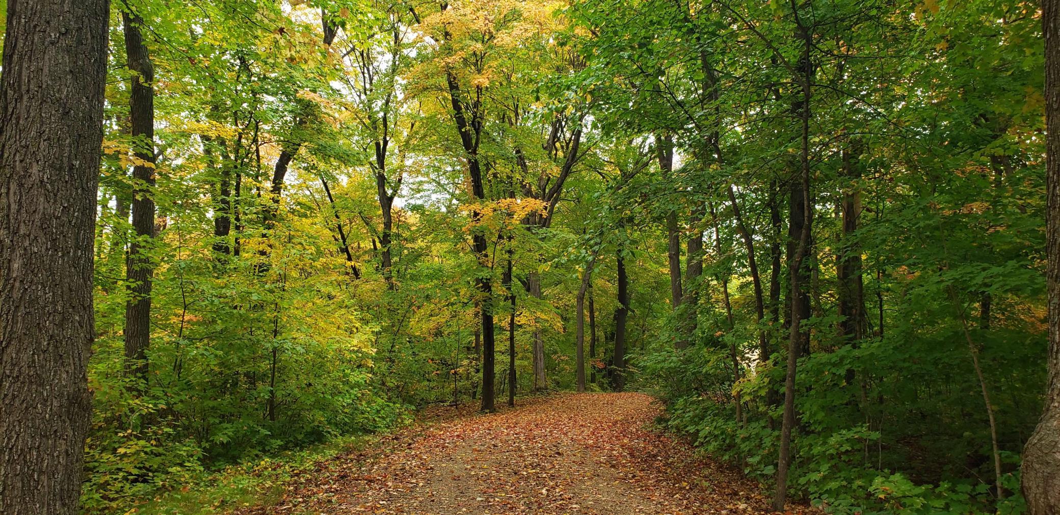 9104 Rachel Shores SW