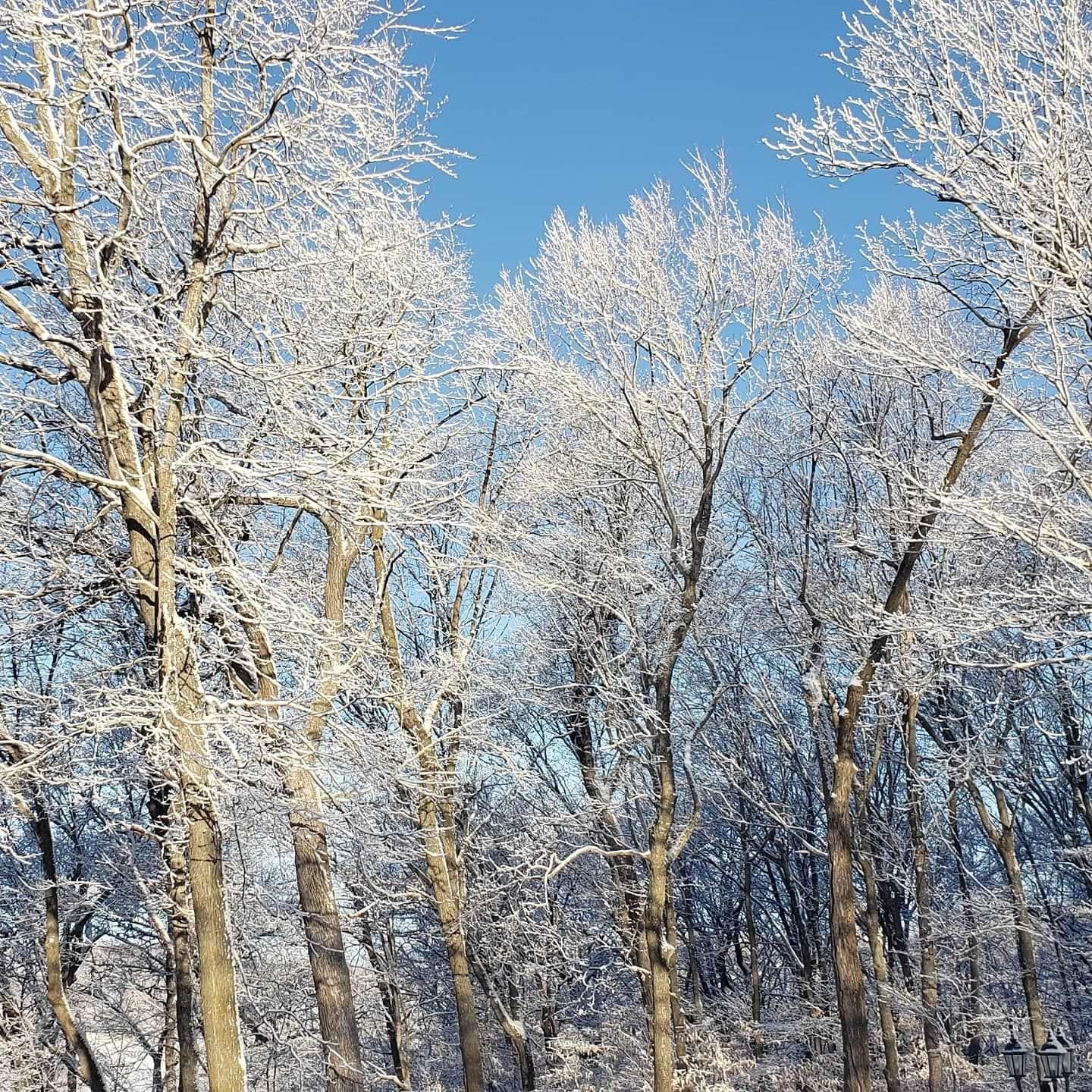 9104 Rachel Shores SW