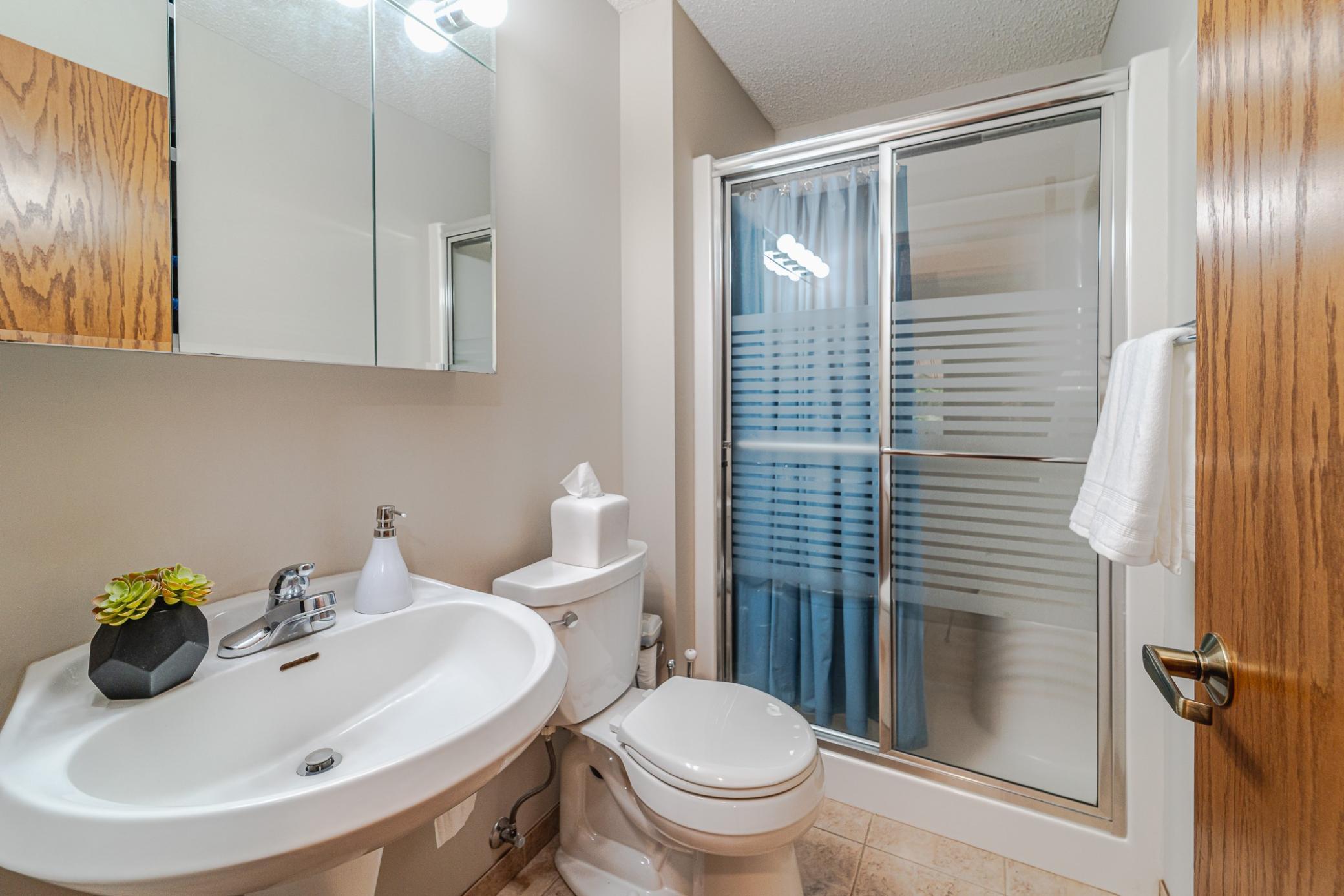 17081 Pheasant Meadow Lane SW