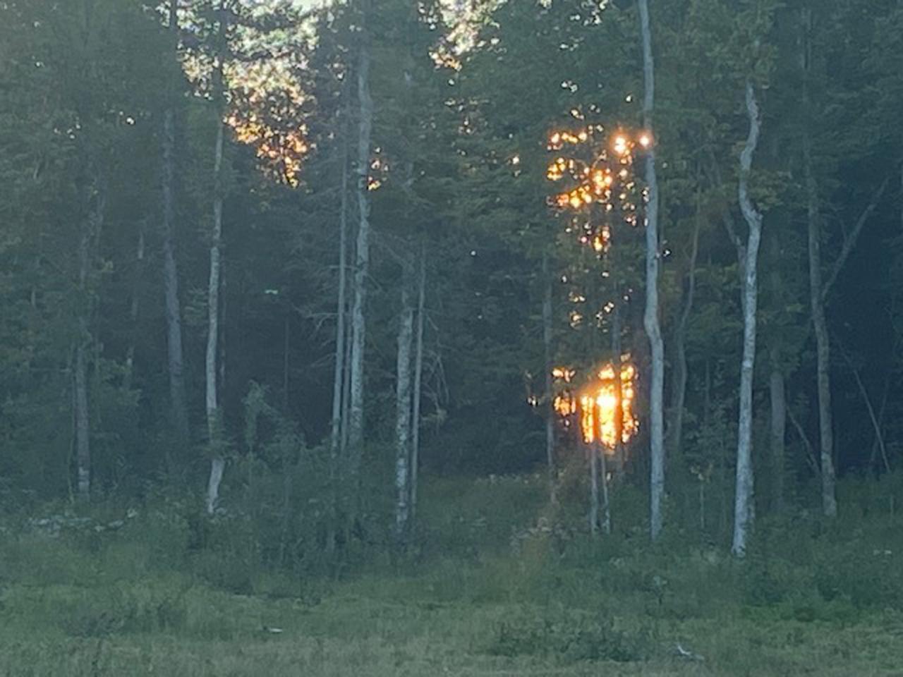 Parcel 4 Hwy 23