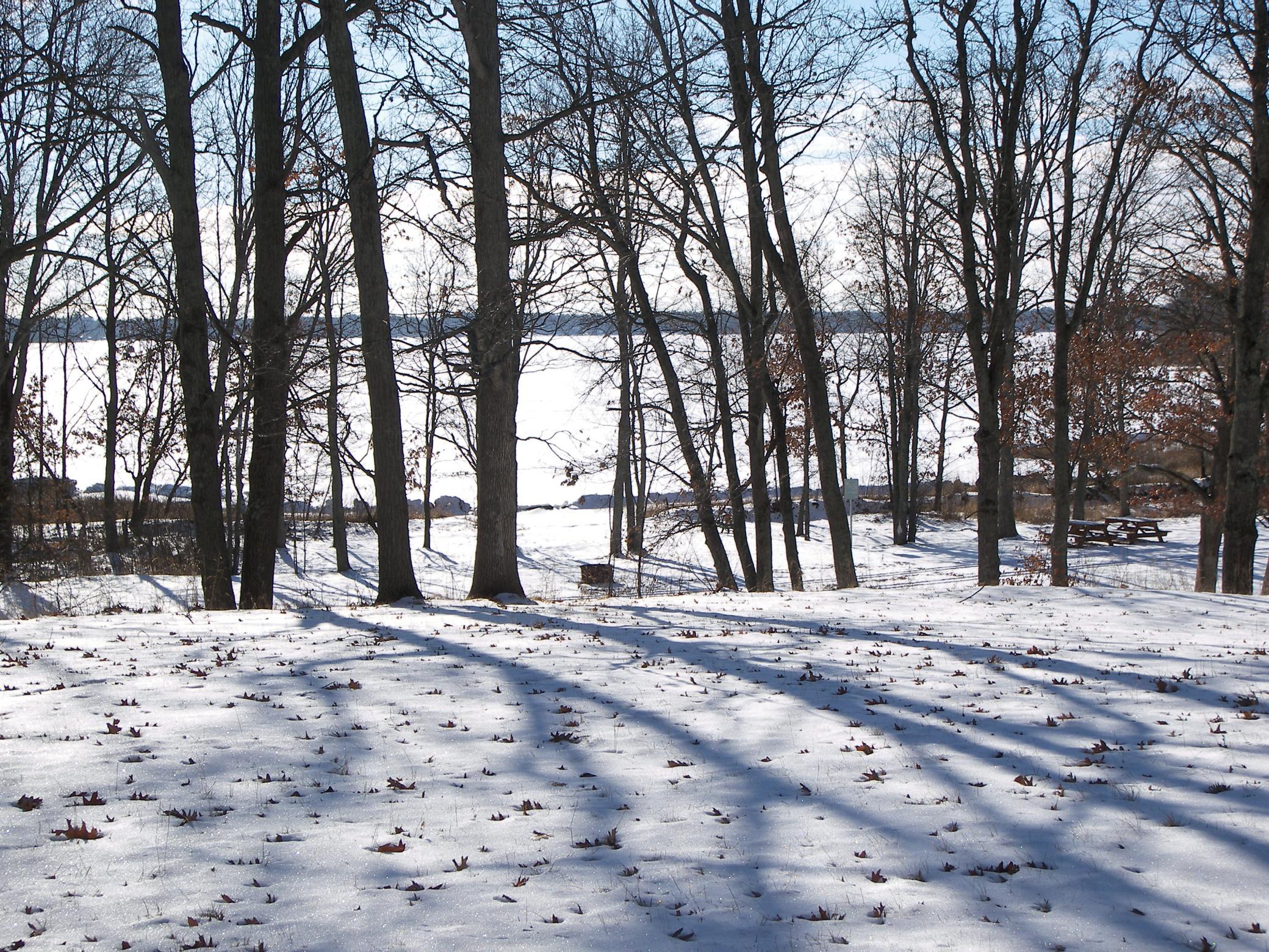 xxx N Basswood Dr(Lot 311)