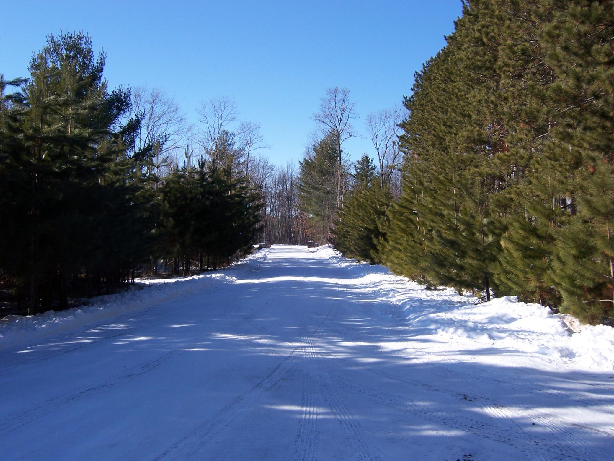 xxx N Basswood Dr(Lot 311)