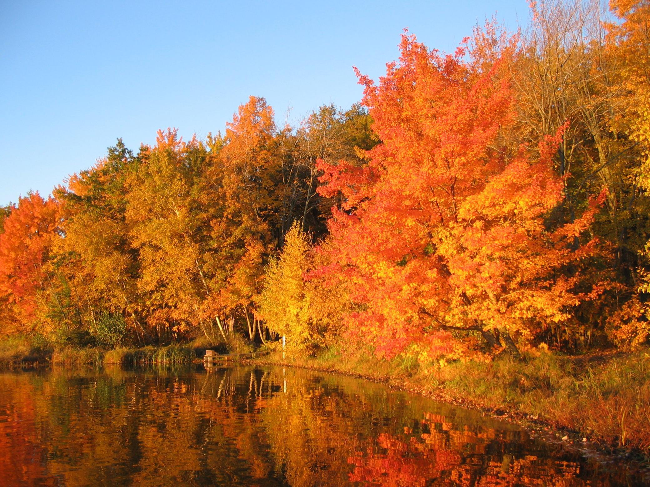 xxx N Basswood Dr (Lot 313)