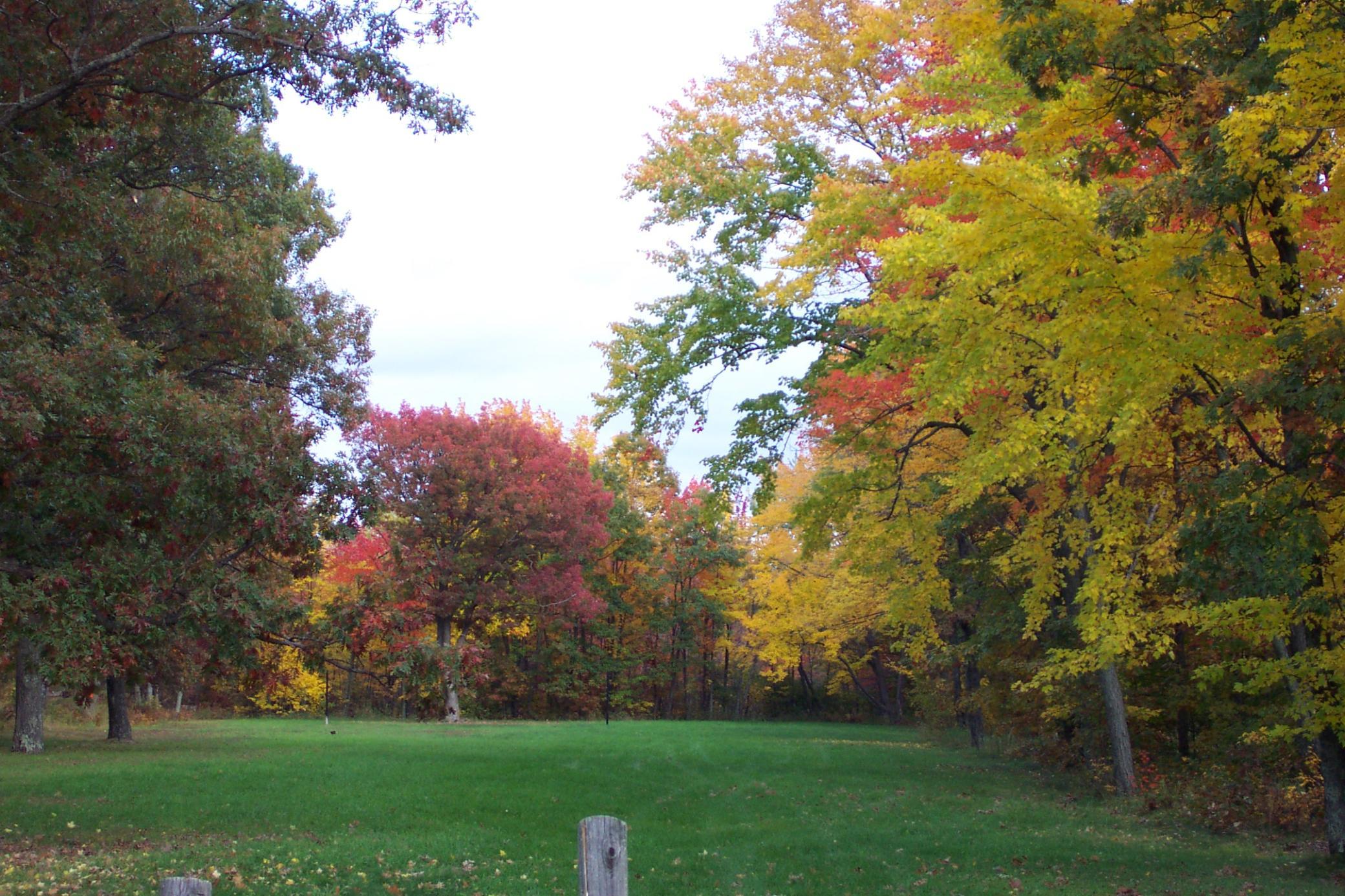 xxx N Basswood Dr (403)
