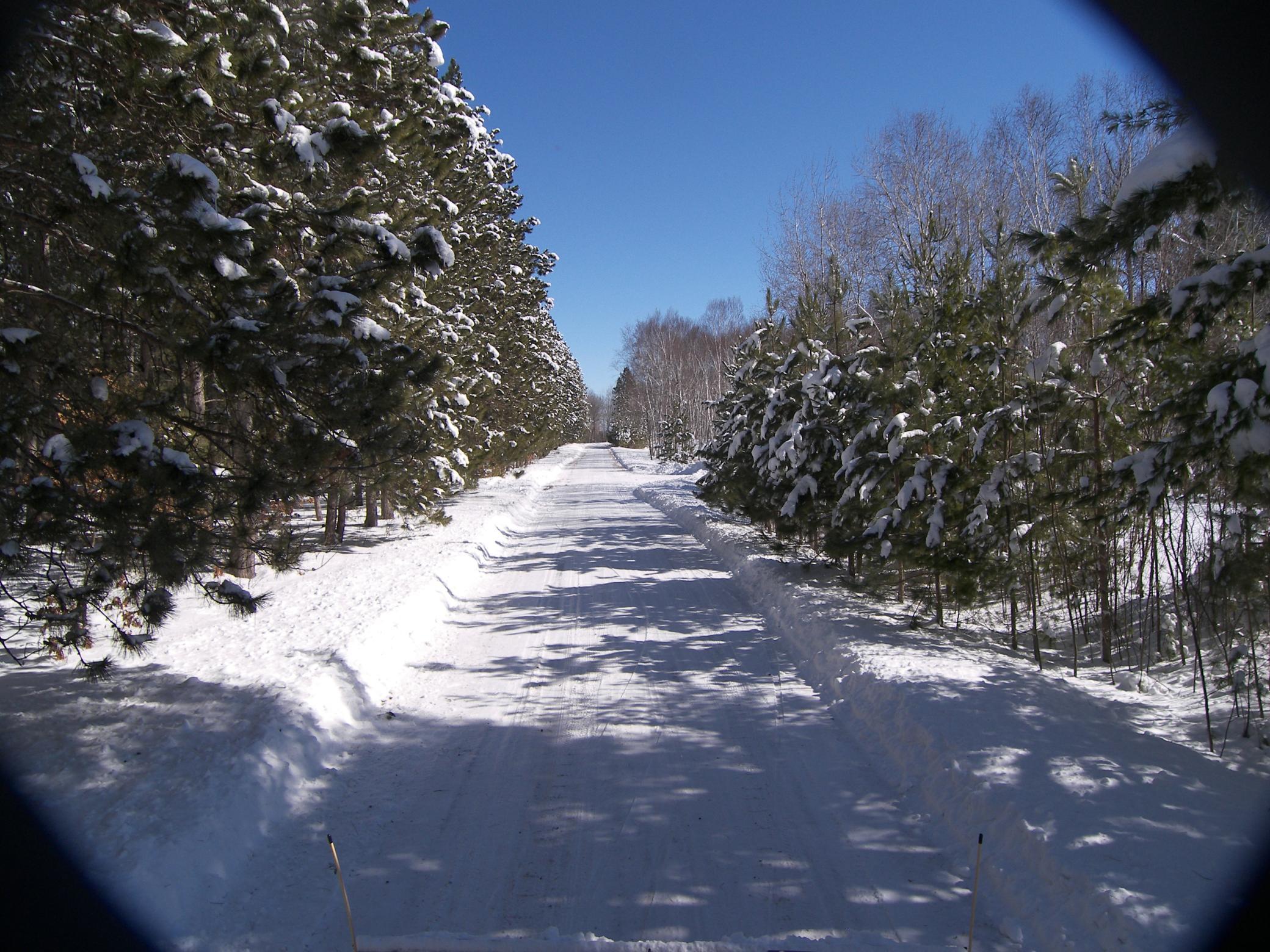 xxx N Basswood Dr (403)