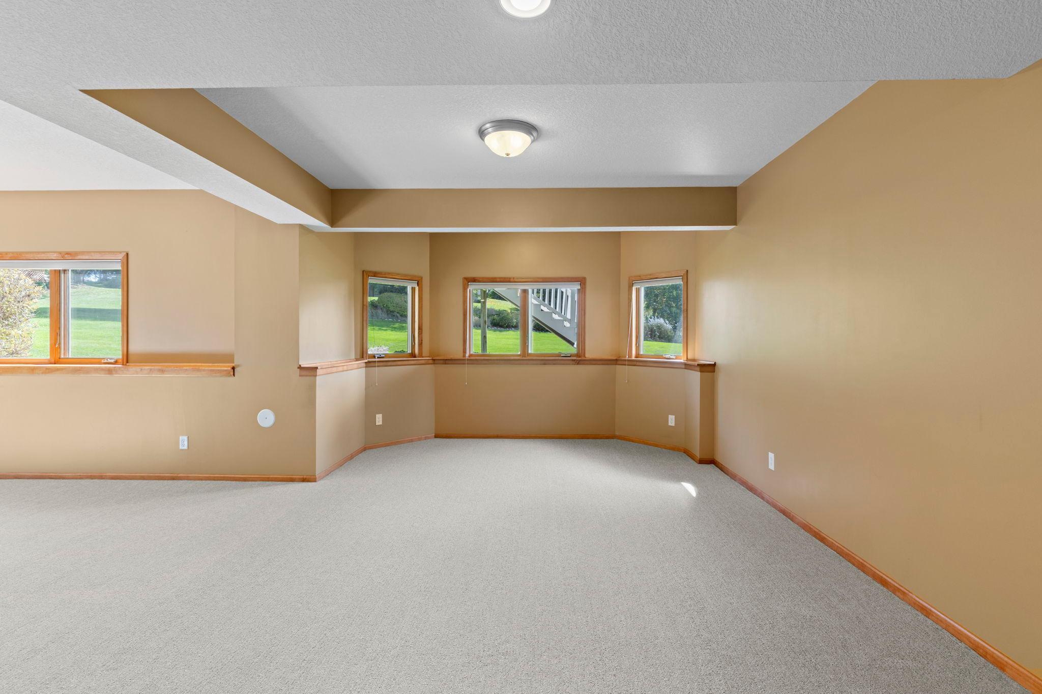 Empty carpeted room with a tray ceiling and several windows overlooking a green lawn.