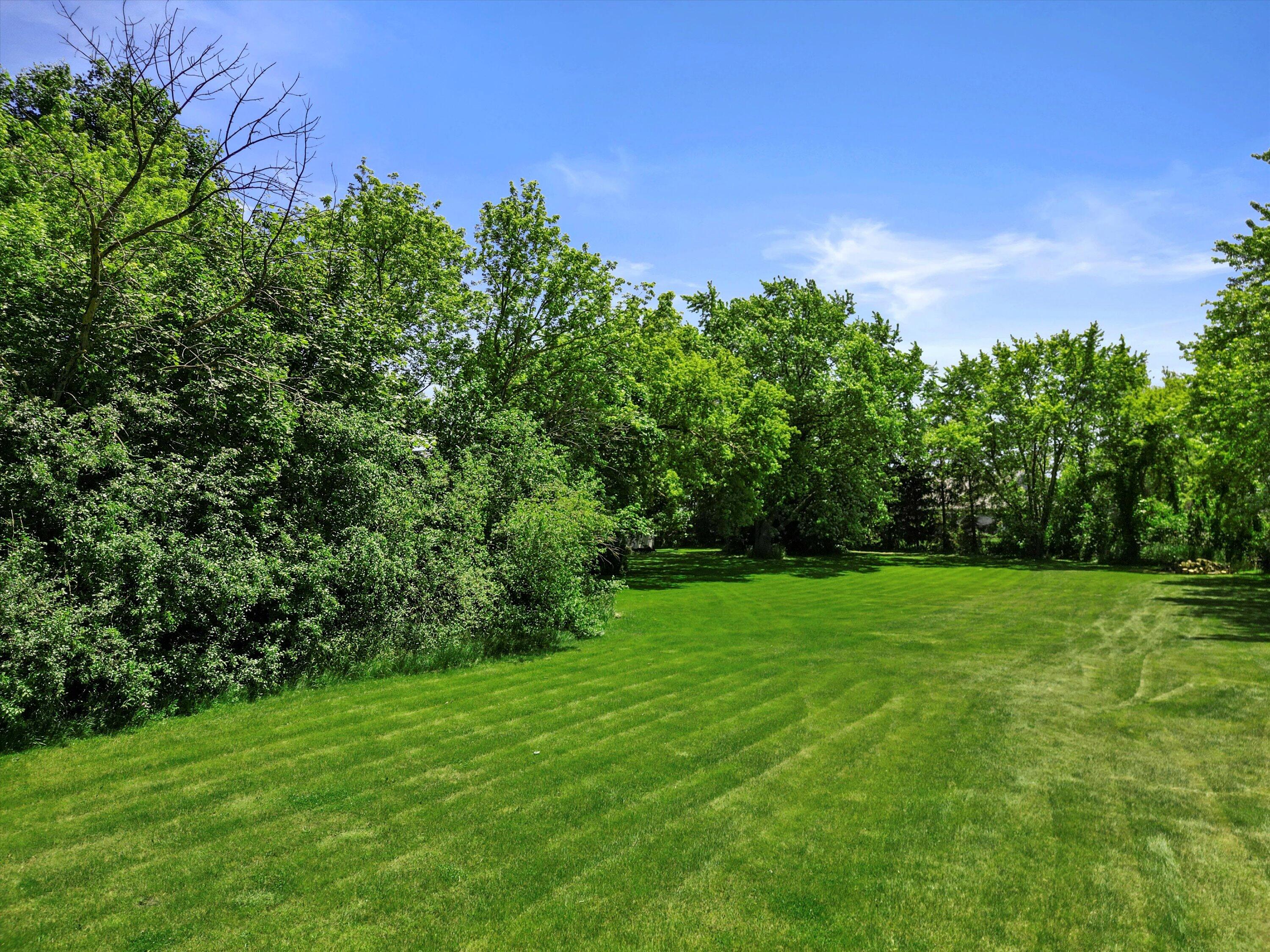 Mowed lawn bordered by leafy trees and shrubs at 118 County Highway V.