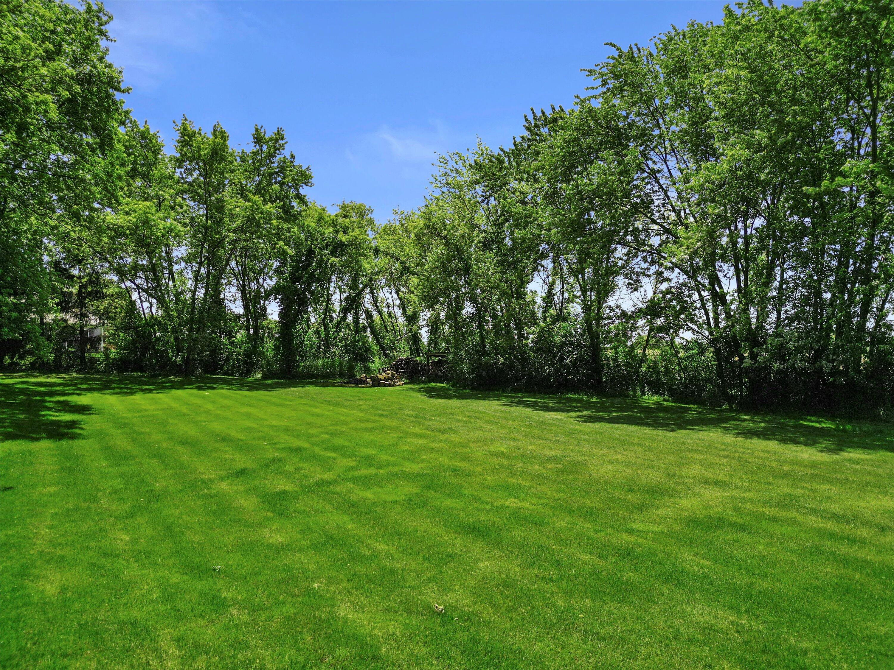 Spacious green lawn bordered by mature leafy trees.