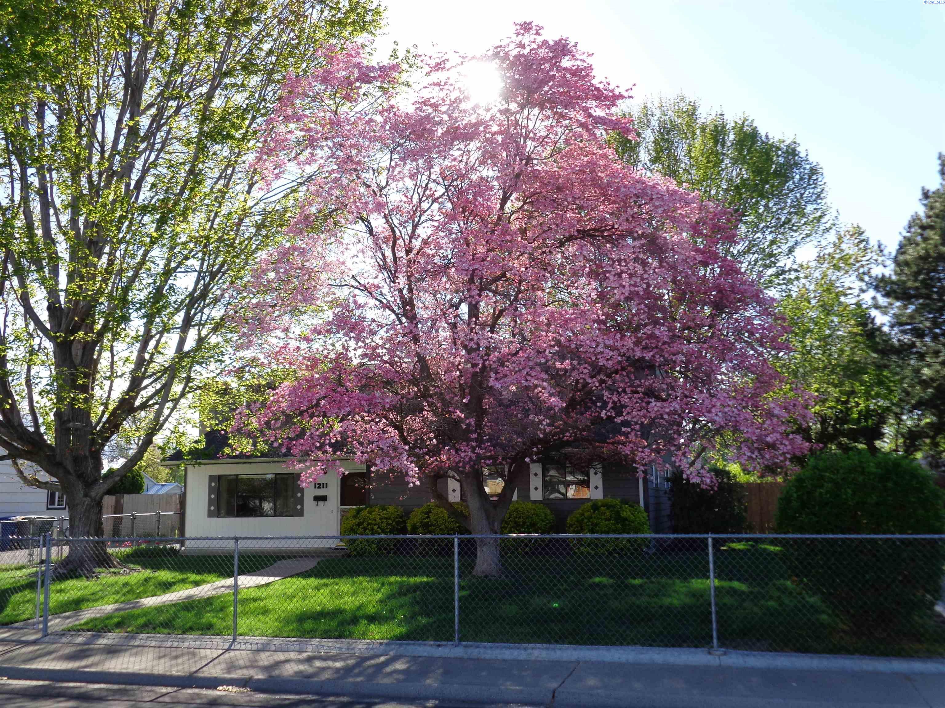 1211 Birch Ave