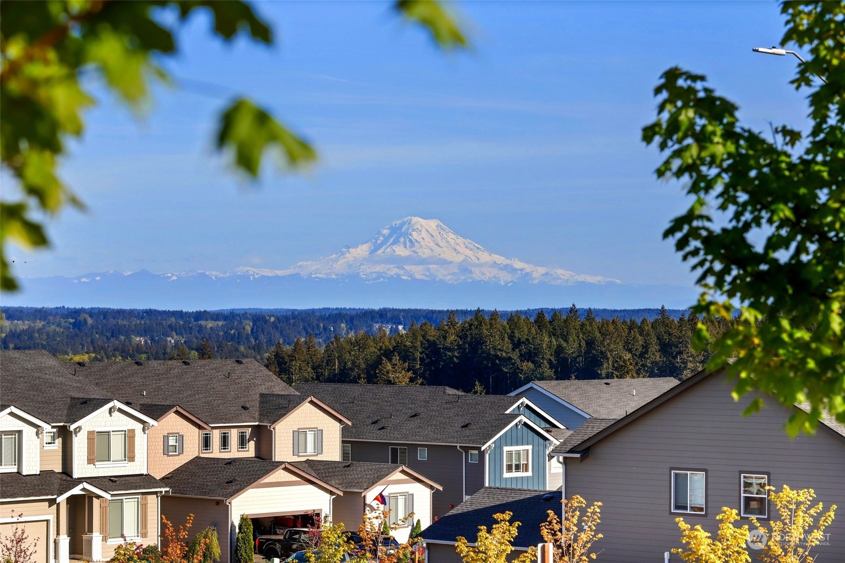 1025 Timberline Avenue