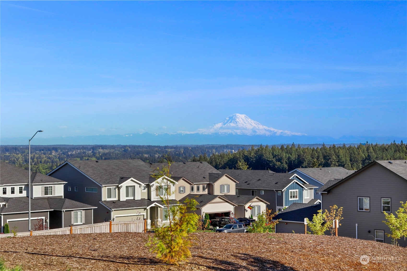 1025 Timberline Avenue