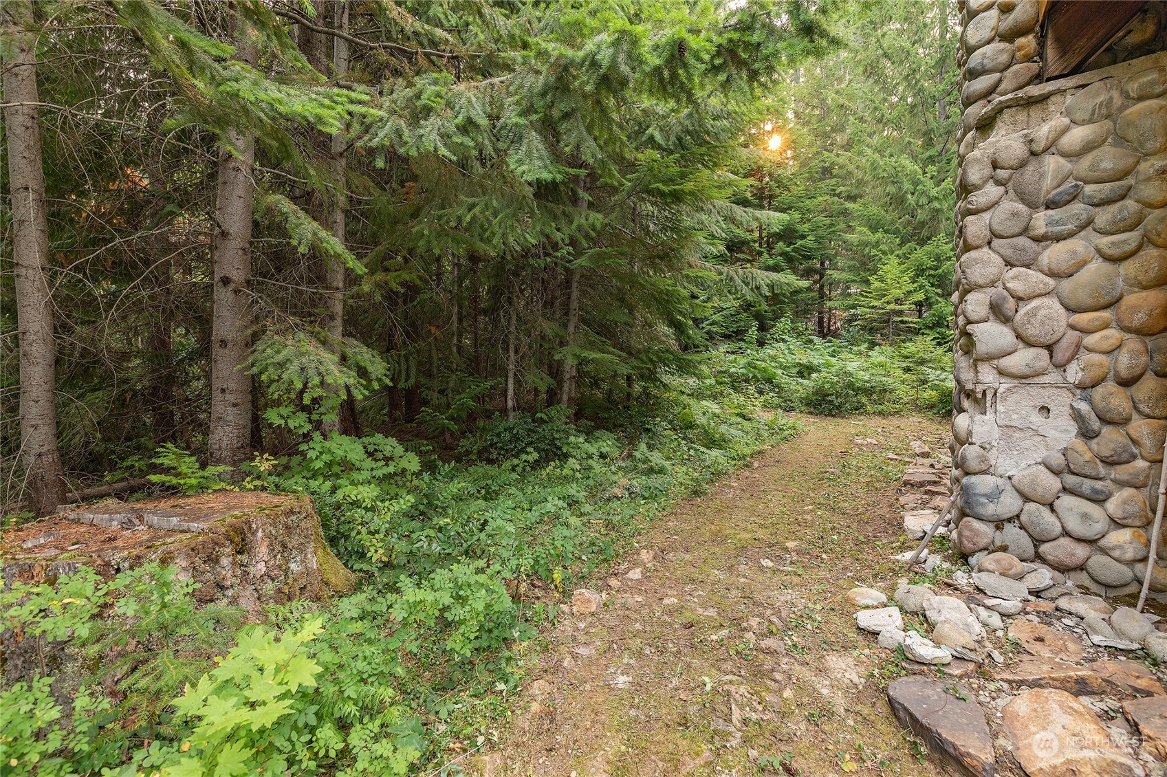 221 Wilderness Lane