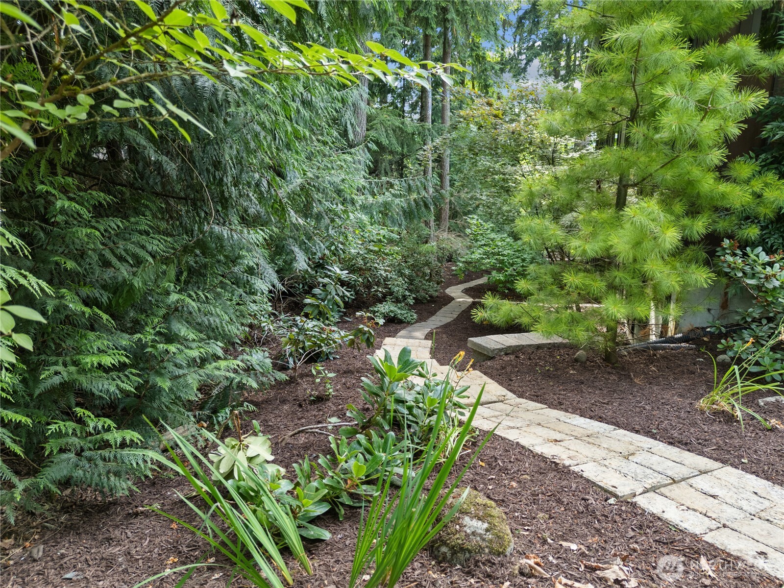 5335 231st Avenue SE