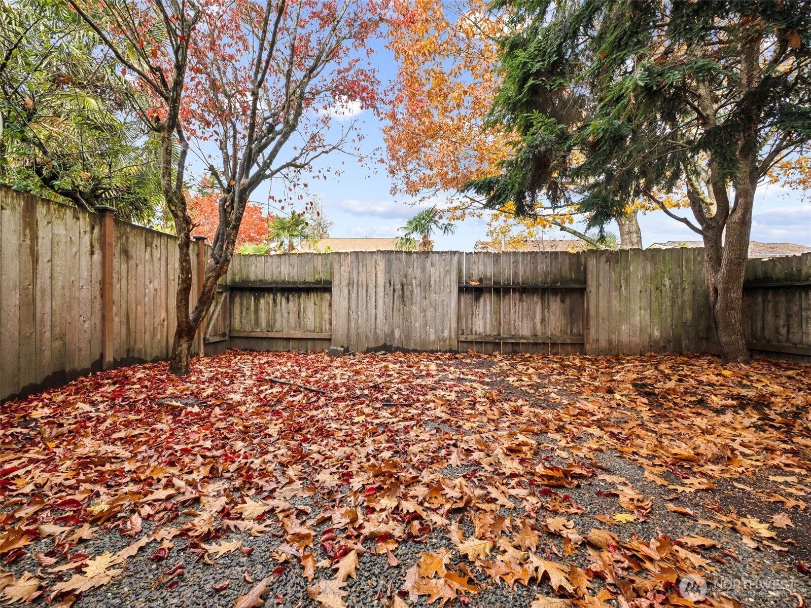 1913 M Street NE Unit: 1913