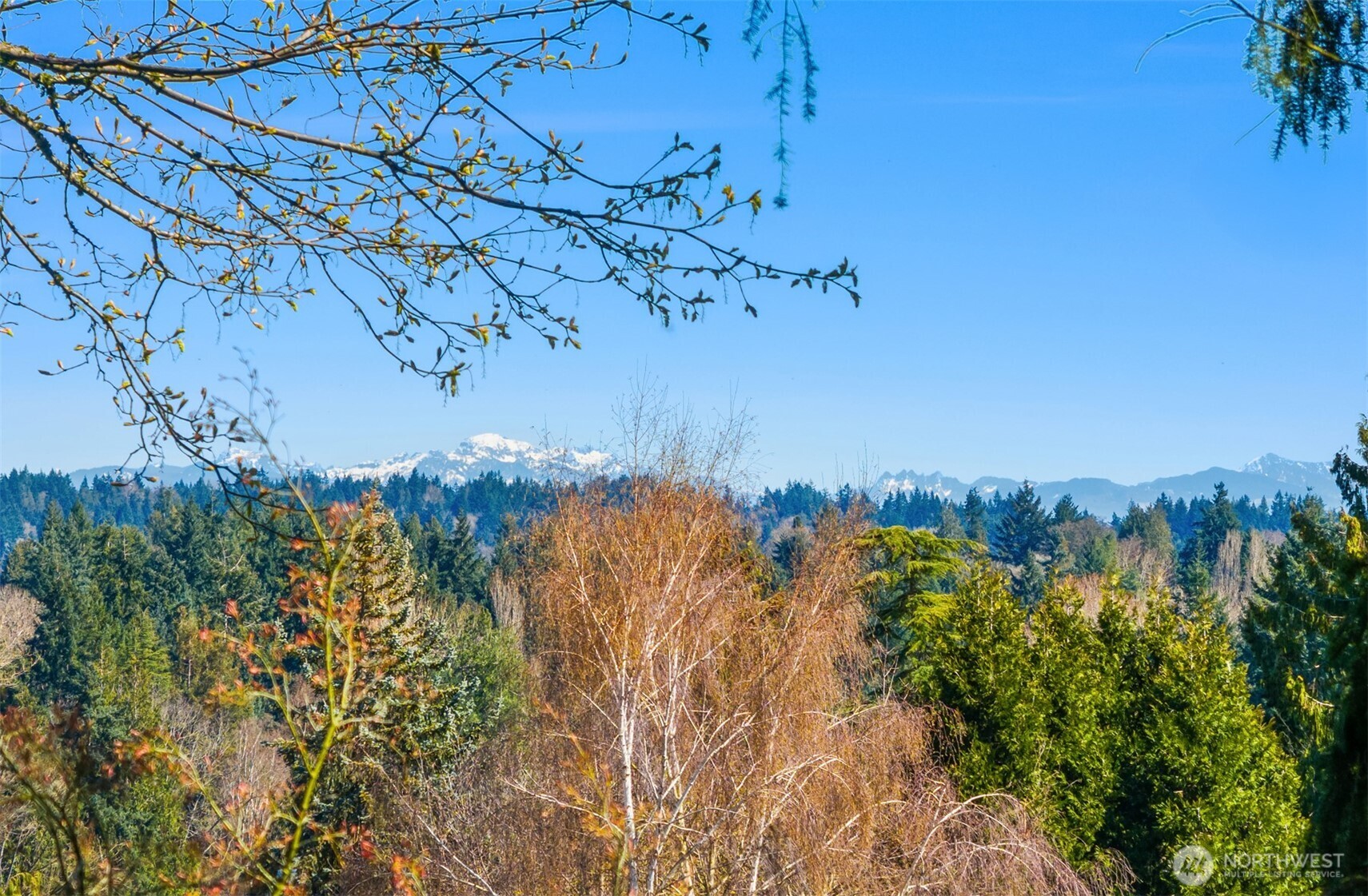 11544 24th Avenue NE