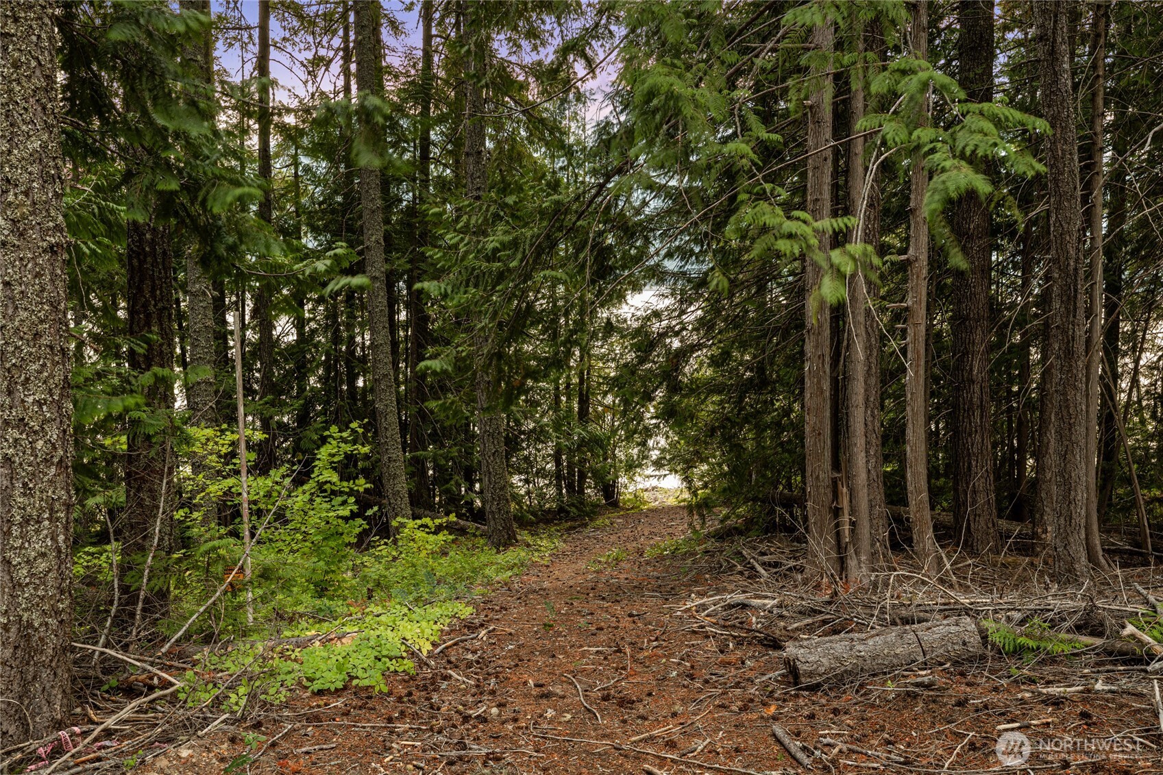4193 Kachess Dam Road