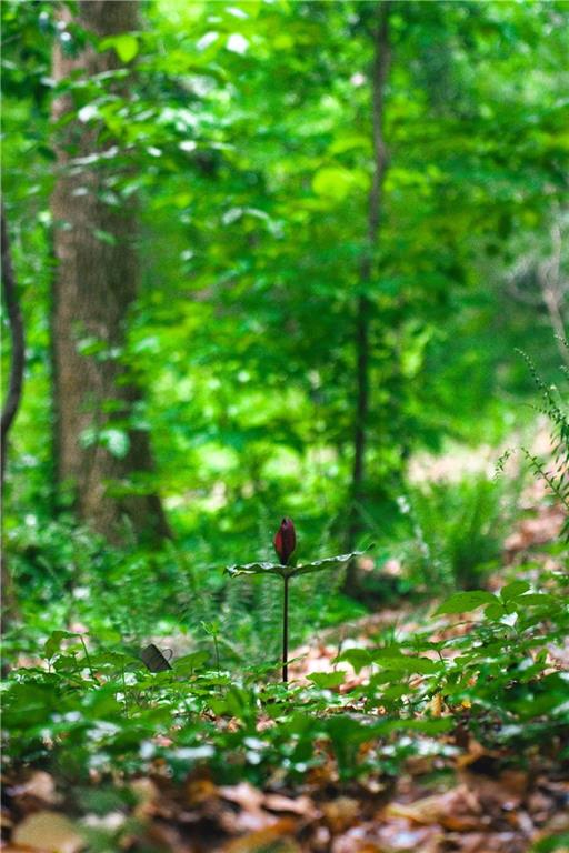 393 The Falls Court NE