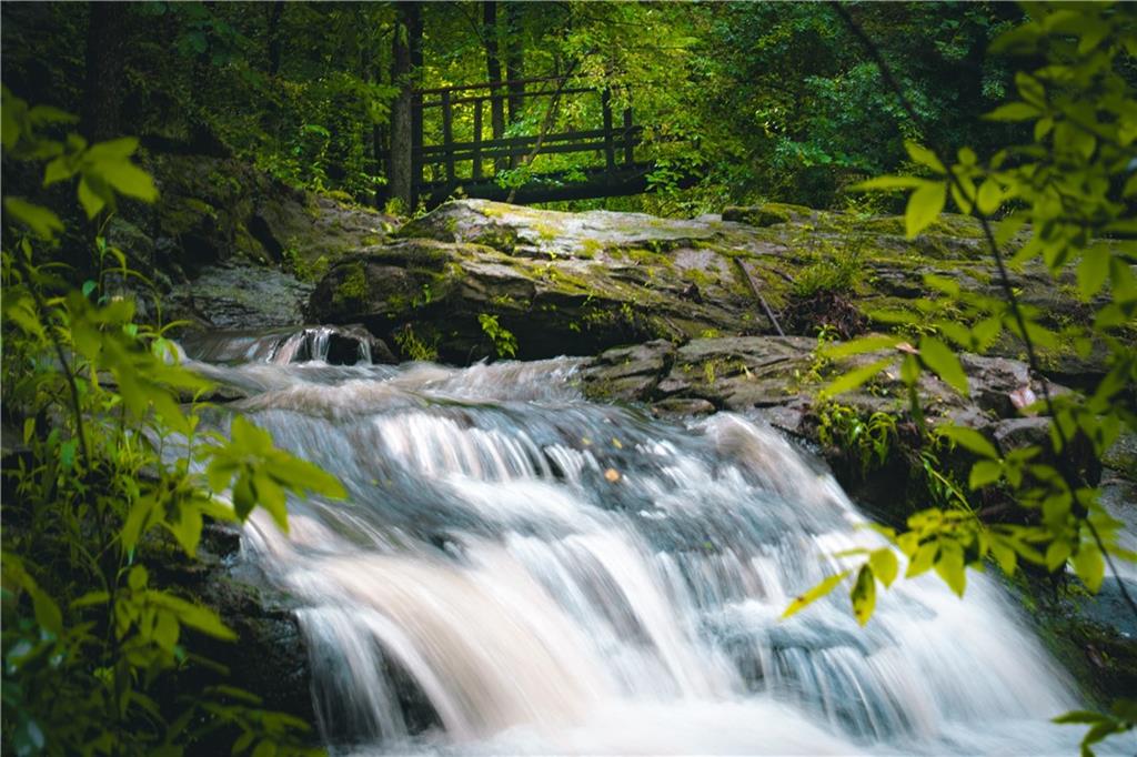 393 The Falls Court NE