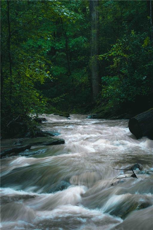 393 The Falls Court NE