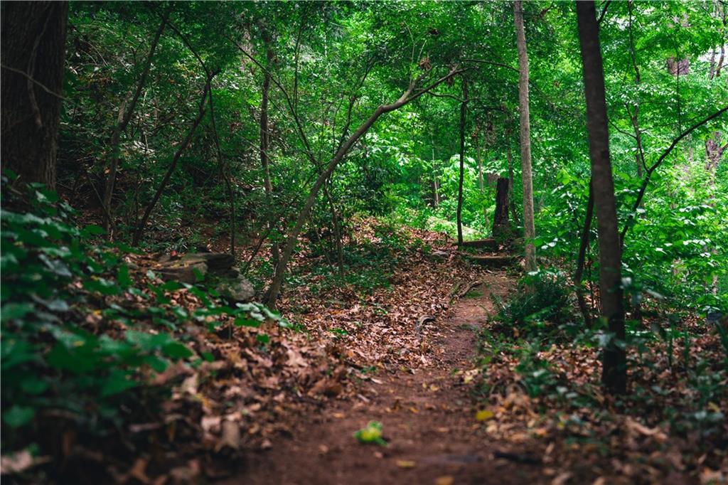 393 The Falls Court NE