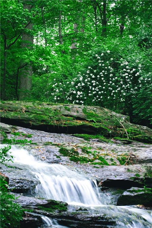 393 The Falls Court NE