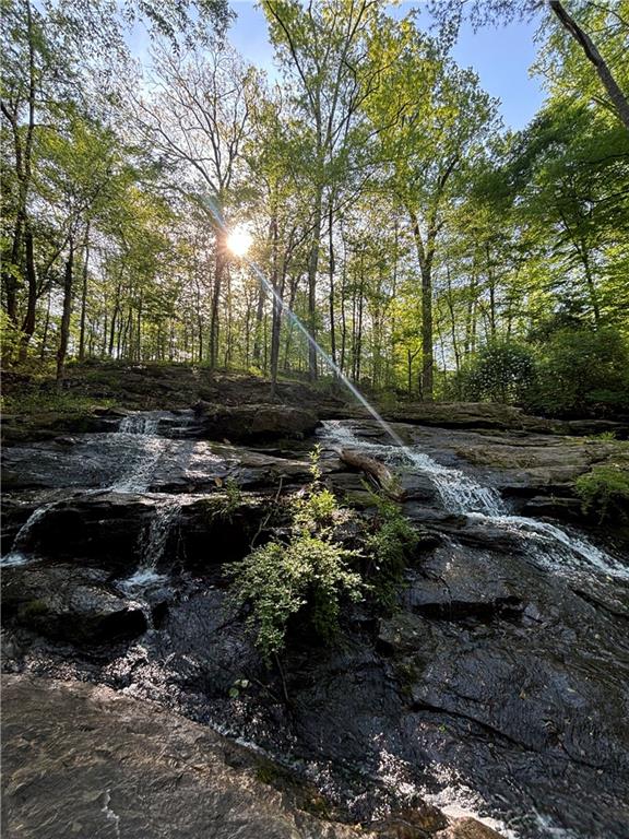 393 The Falls Court NE