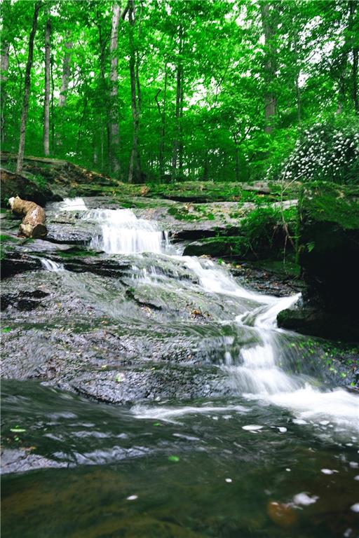 393 The Falls Court NE